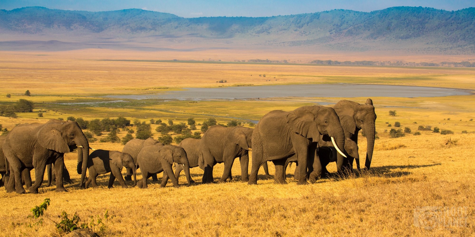 9-Day Ultimate Fly-In Family Safari | Big Five & Great Migration