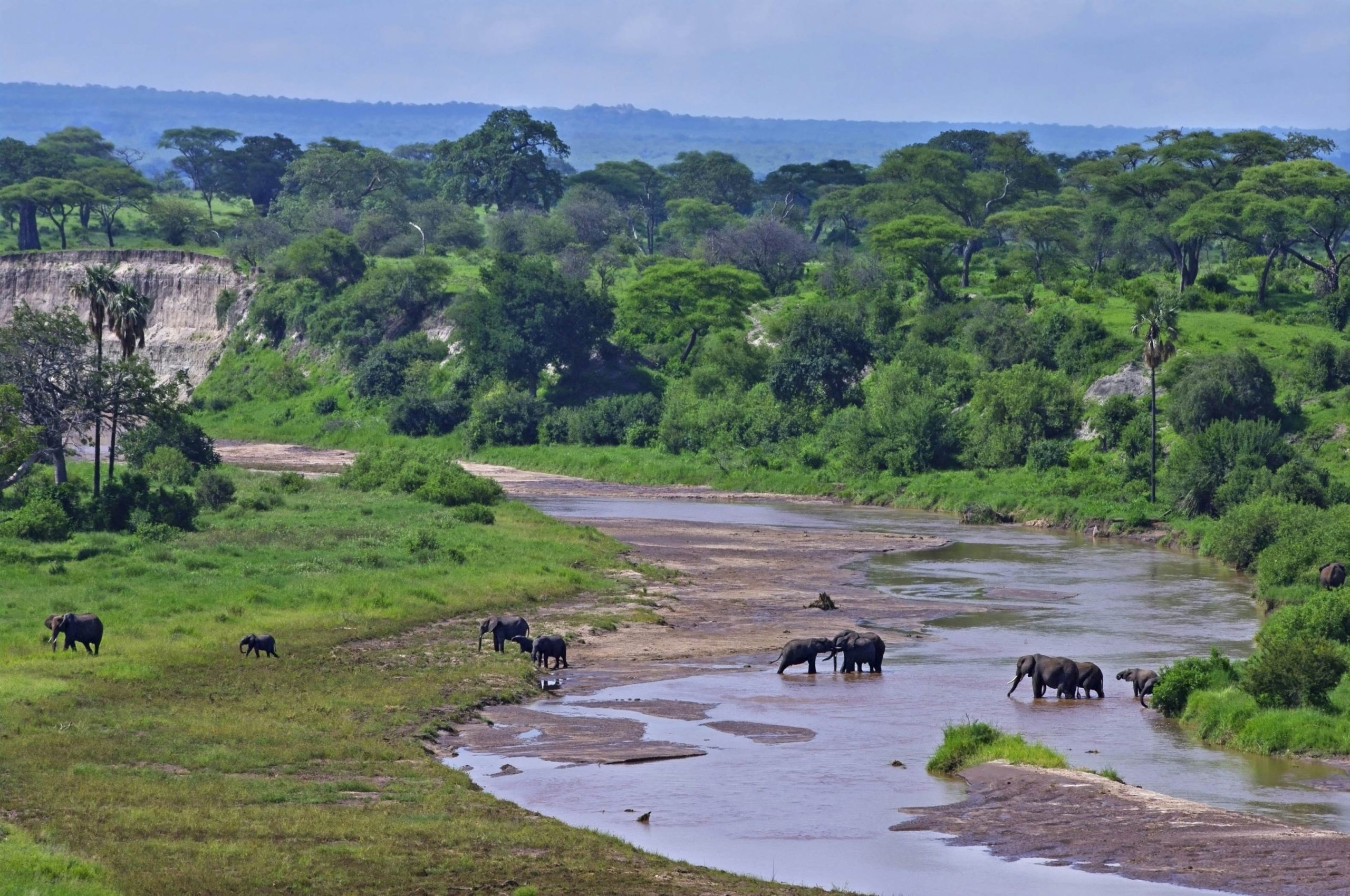 Ultimate 12-Day Tanzania Adventure | Serengeti Safari, Kilimanjaro Hike & Zanzibar Beaches.