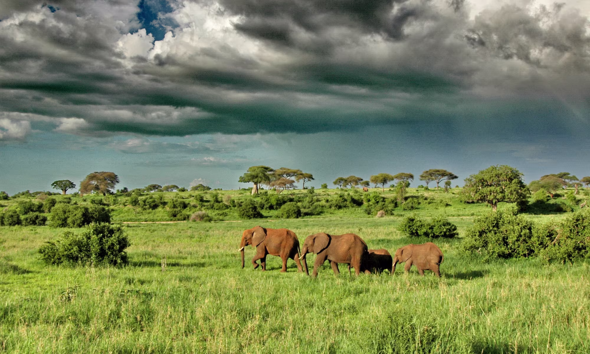 6 Days Kenya Tanzania Family Safari – Amboseli Elephants & Ngorongoro Crater