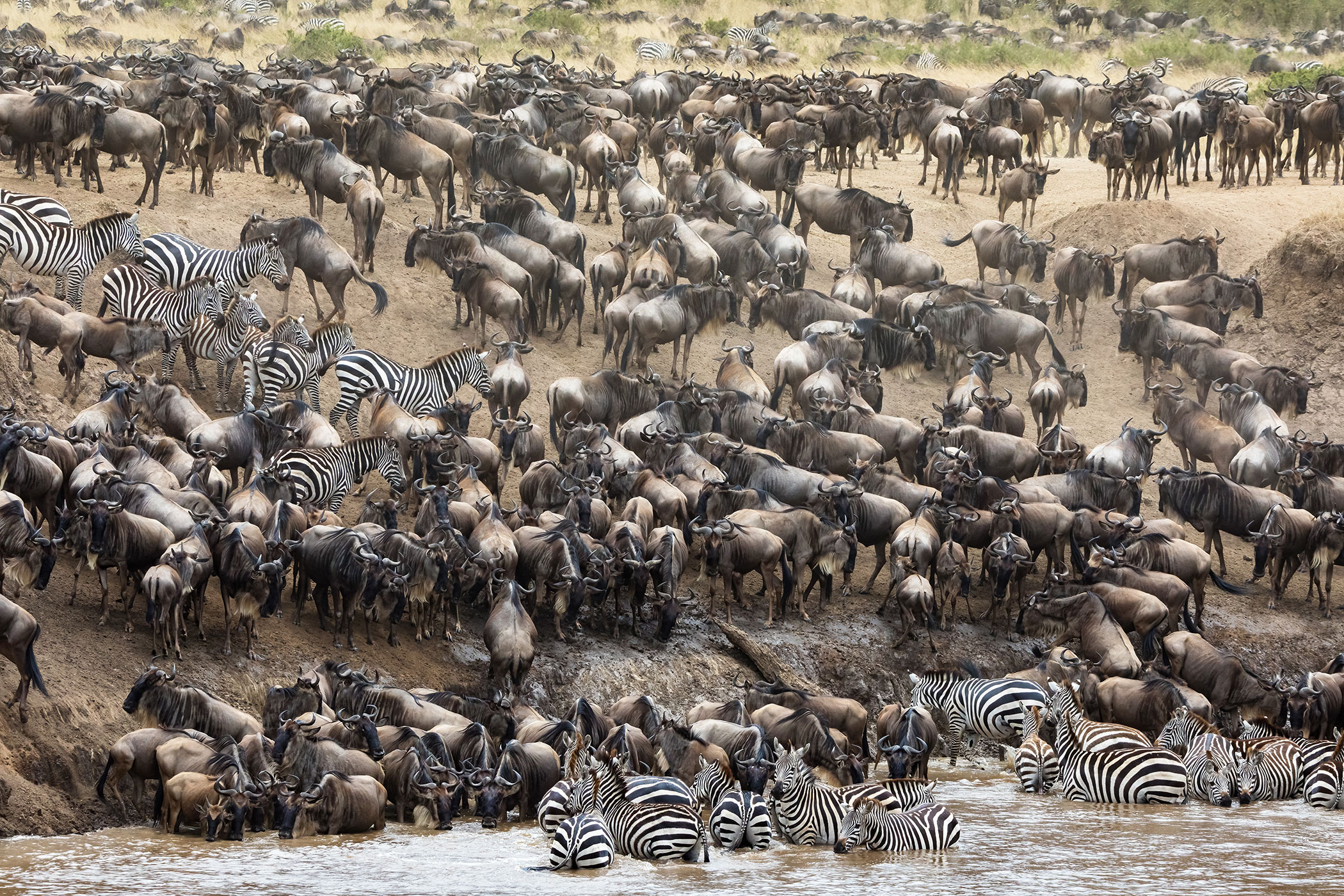 7 Days Kenya Tanzania Honeymoon Safari – Luxury Maasai Mara, Serengeti & Ngorongoro