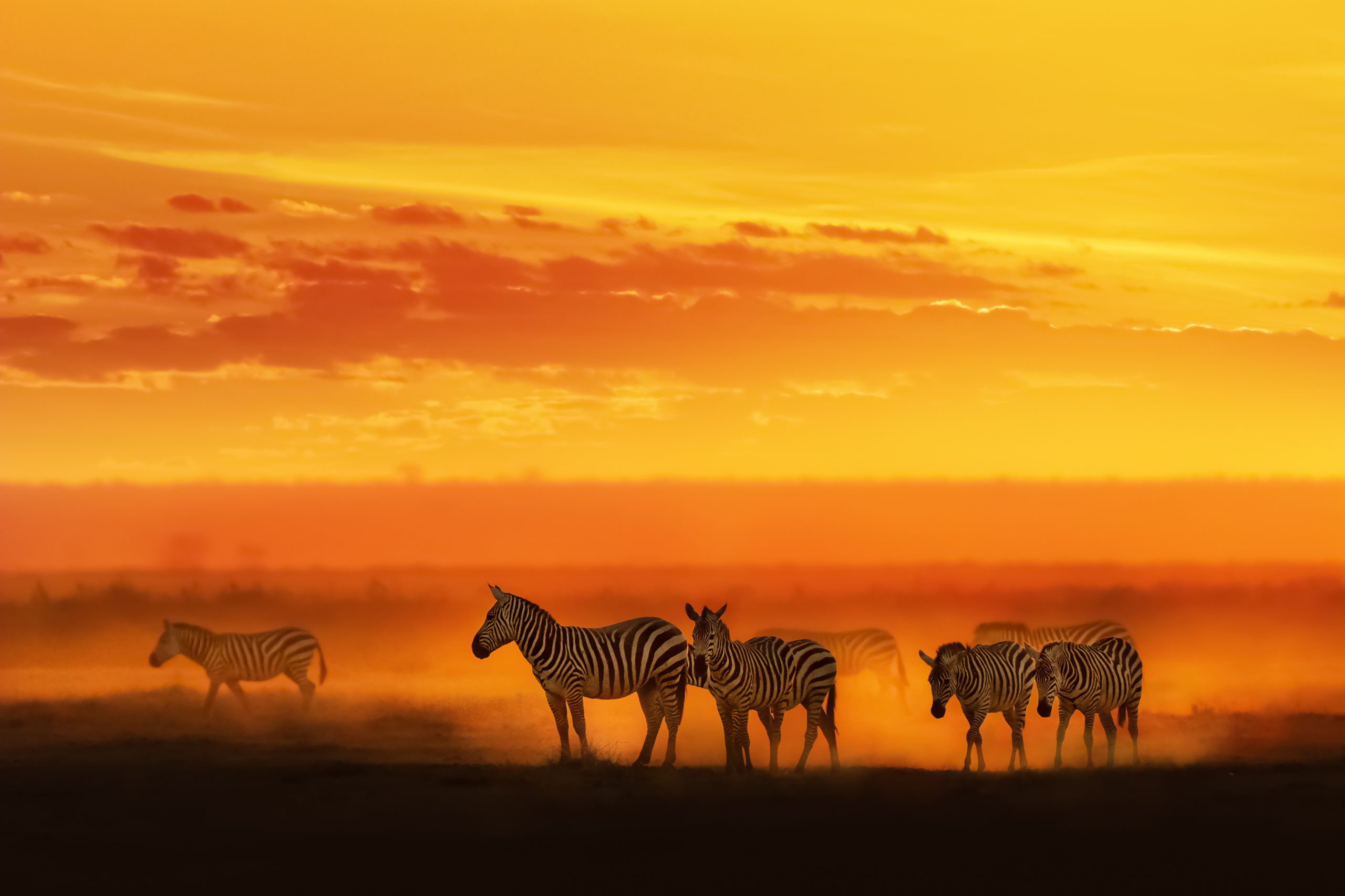 8 Days Tanzania Budget Private Safari & Maasai Cultural Experience