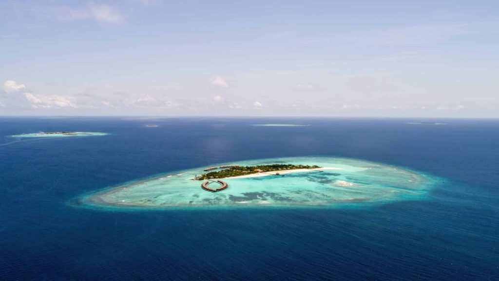 4-Day Mafia Island Relaxation & Marine Experience | A Serene Escape into Marine Wonders