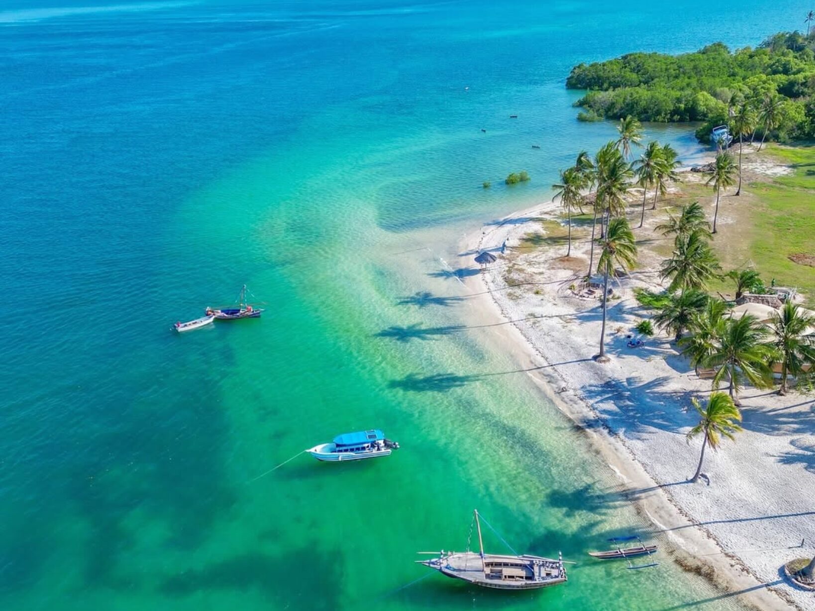 4-Day Mafia Island Relaxation & Marine Experience | A Serene Escape into Marine Wonders