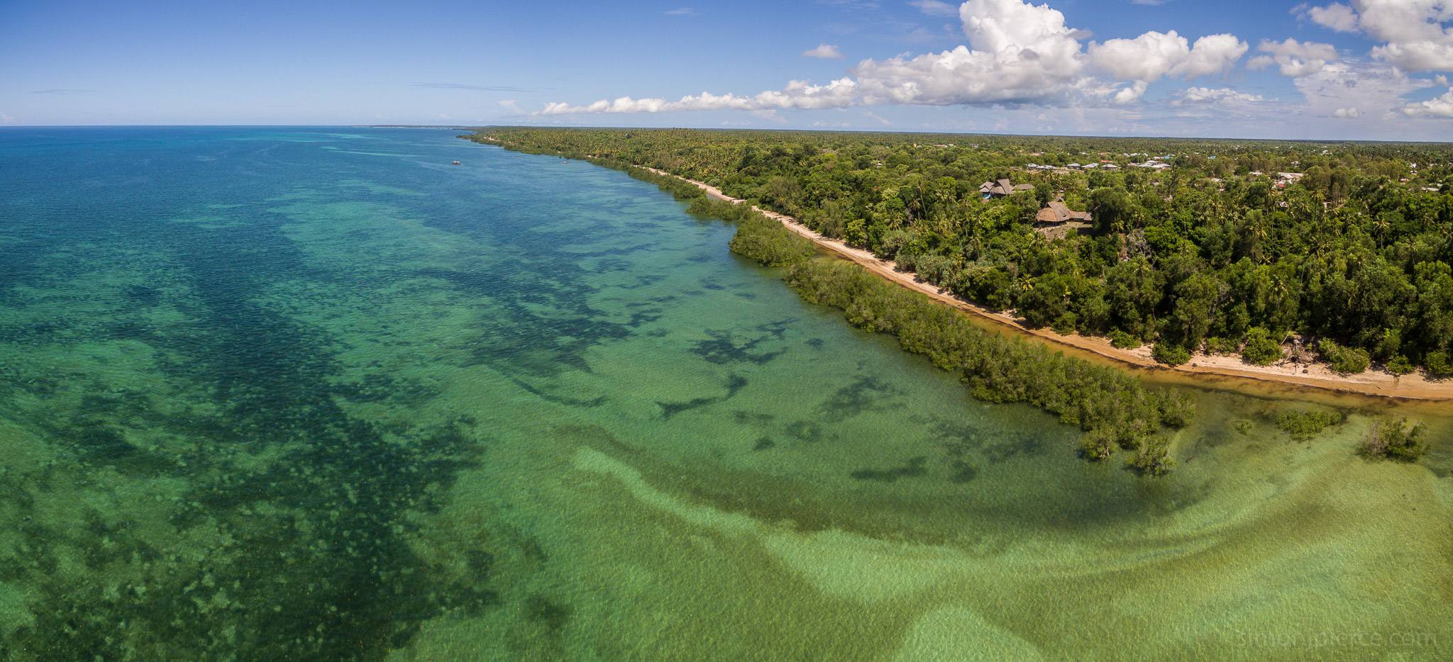 6- day The Ultimate Eco-Safari in Mafia Island | Giants, Mangroves & Marine Wonders