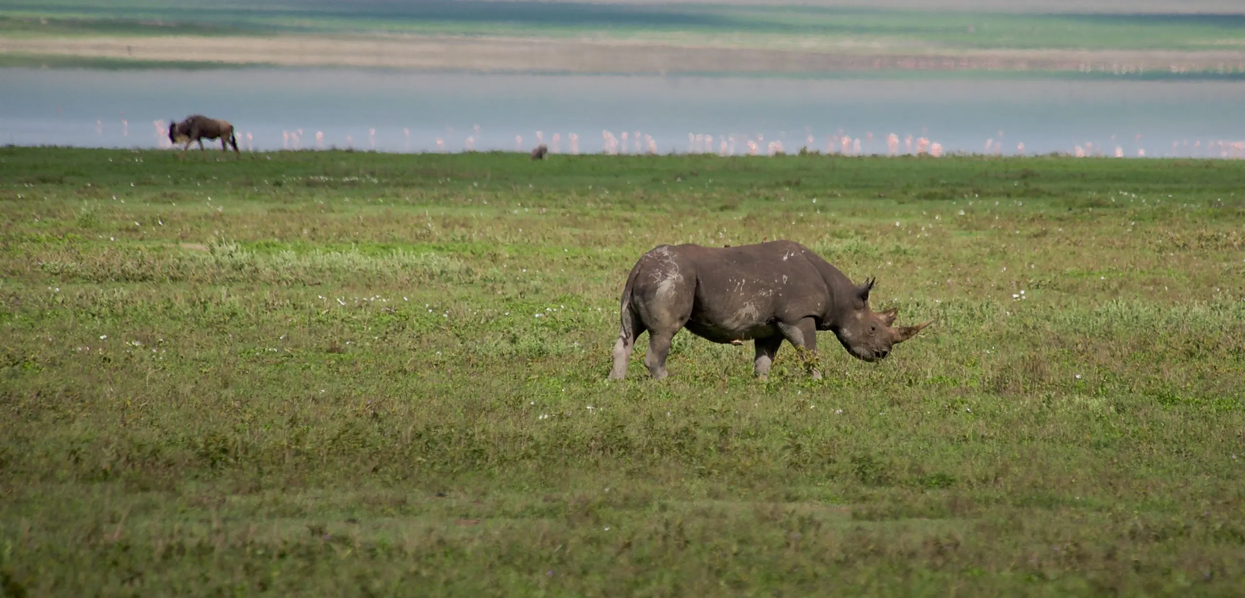 6 Days Best of Northern Tanzania Safari | Serengeti, Ngorongoro Crater & Tarangire.