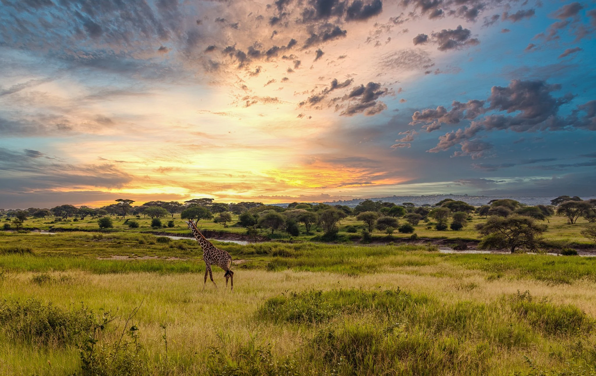 Photographic Safari in Tanzania