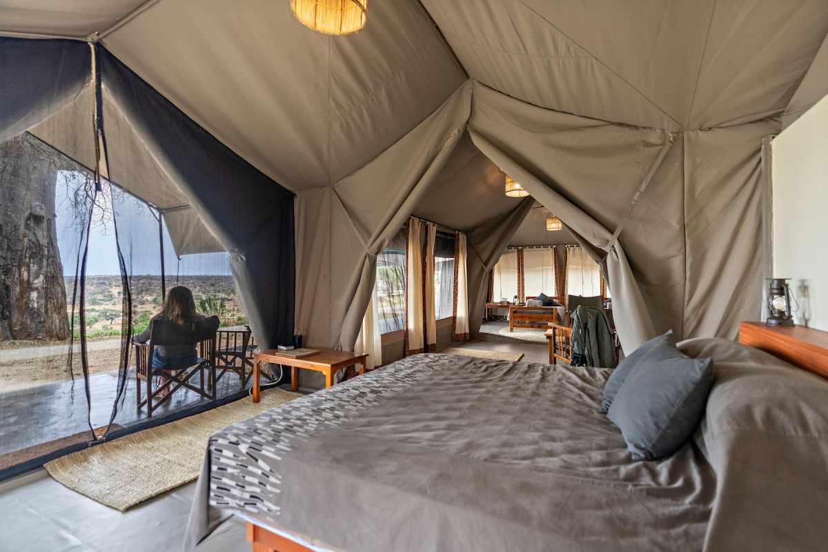 Wildlife view from Tarangire Safari Lodge veranda