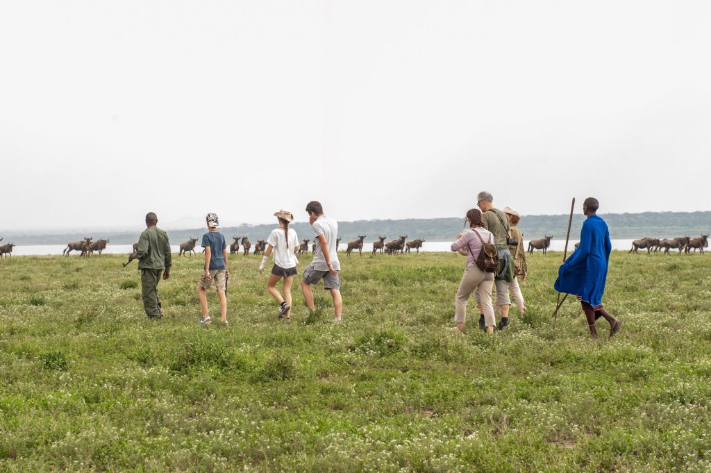Guide to Walking Safaris in Tanzania.