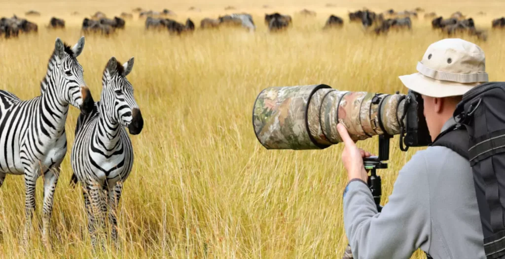 Photographic Safari in Tanzania