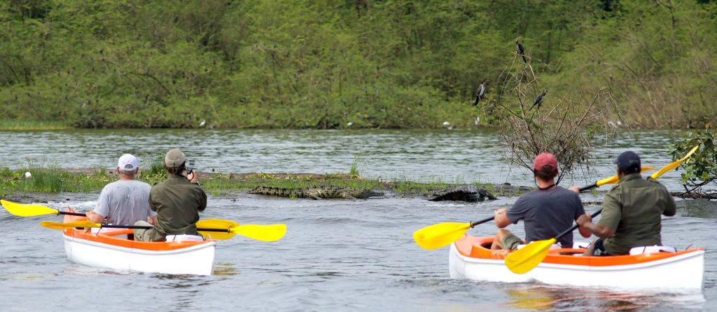 Boat Safari Tanzania | Discover Wildlife from the Water in Rufiji, Wami & Momella Lakes