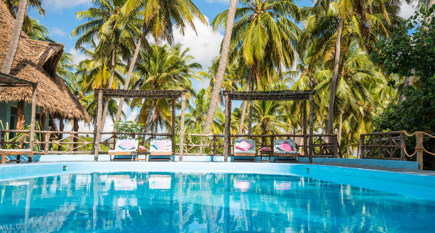 6- day The Ultimate Eco-Safari in Mafia Island | Giants, Mangroves & Marine Wonders