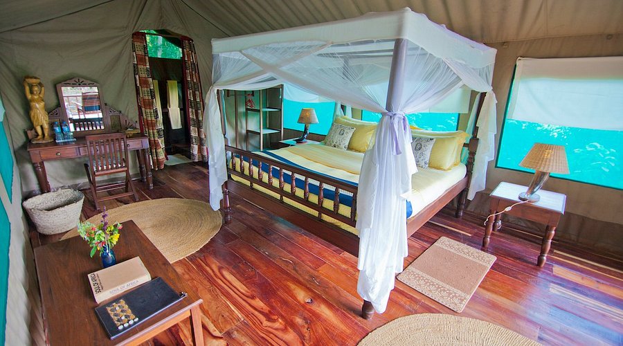 Mbali Mbali Gombe Lodge | Luxury Accommodation & Chimpanzee Trekking in Gombe National Park