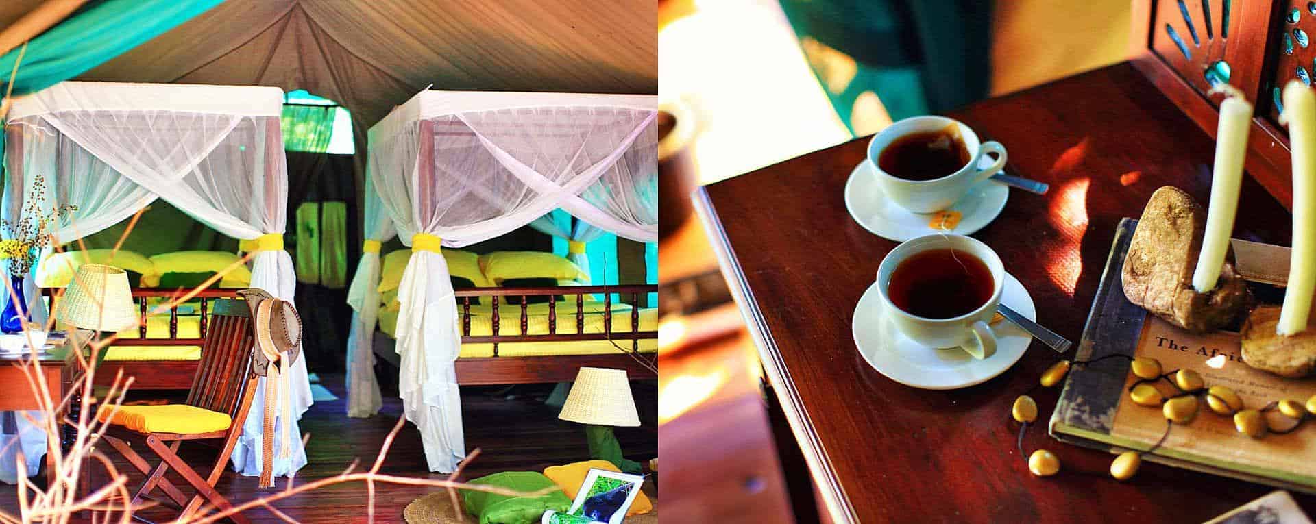 Mbali Mbali Gombe Lodge | Luxury Accommodation & Chimpanzee Trekking in Gombe National Park