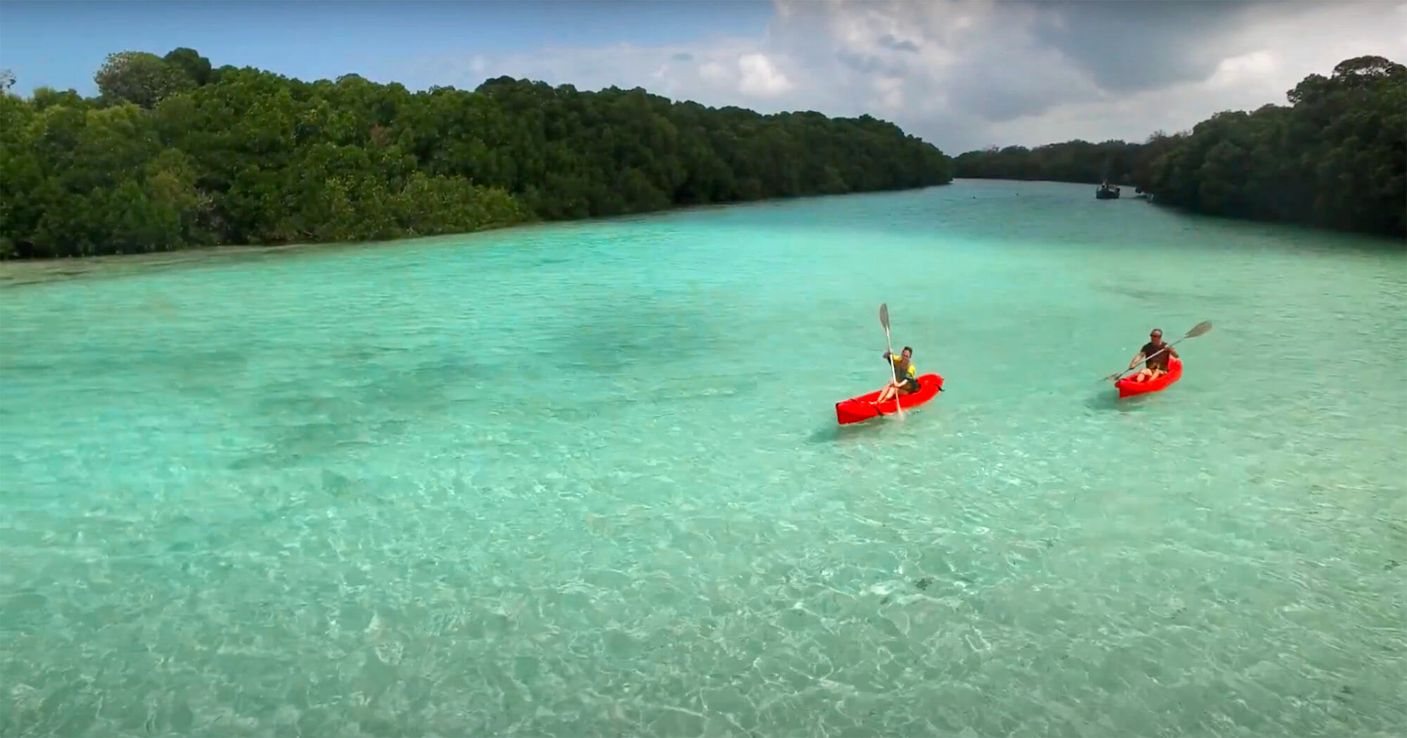 6- day The Ultimate Eco-Safari in Mafia Island | Giants, Mangroves & Marine Wonders
