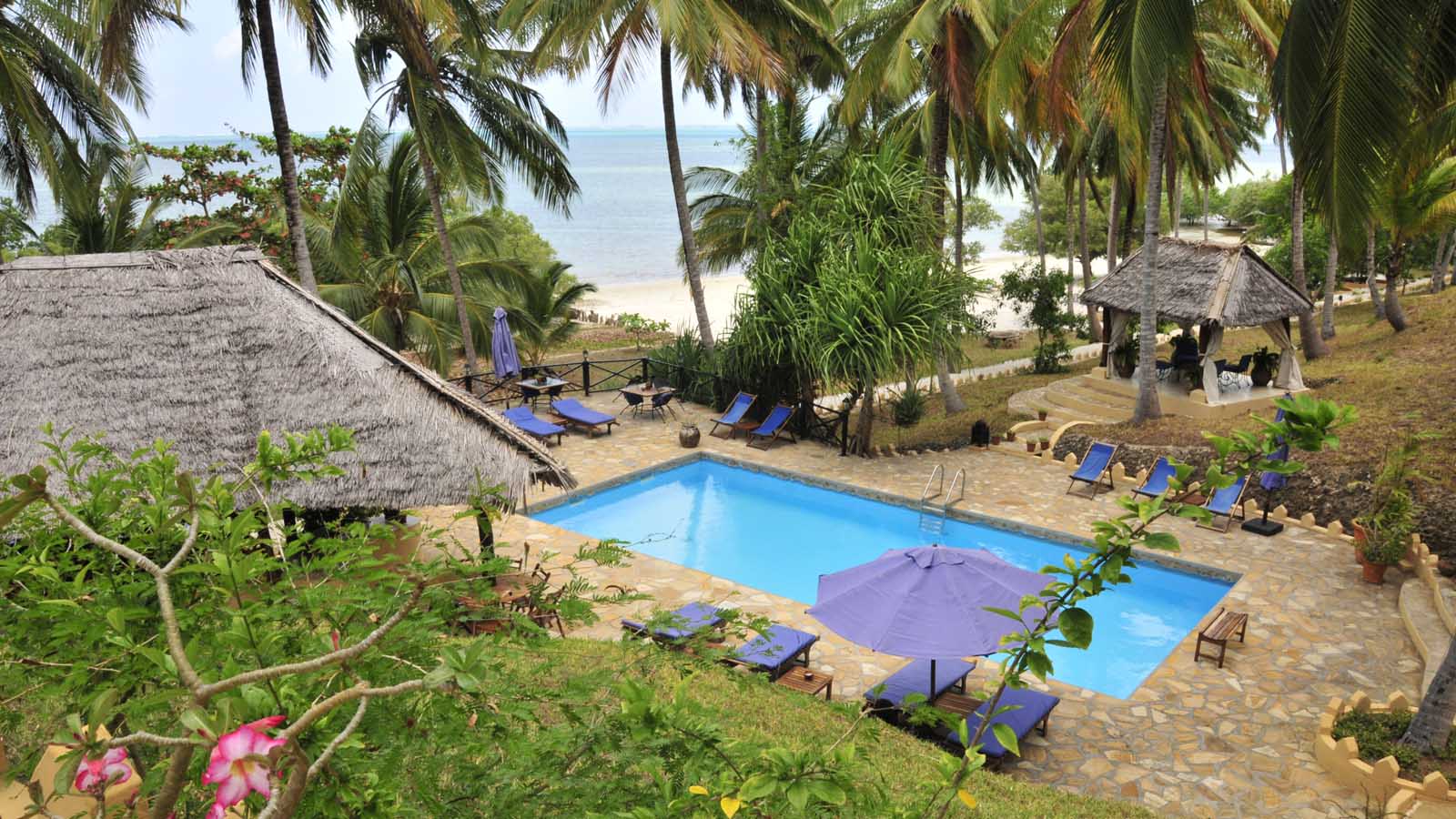6- day The Ultimate Eco-Safari in Mafia Island | Giants, Mangroves & Marine Wonders