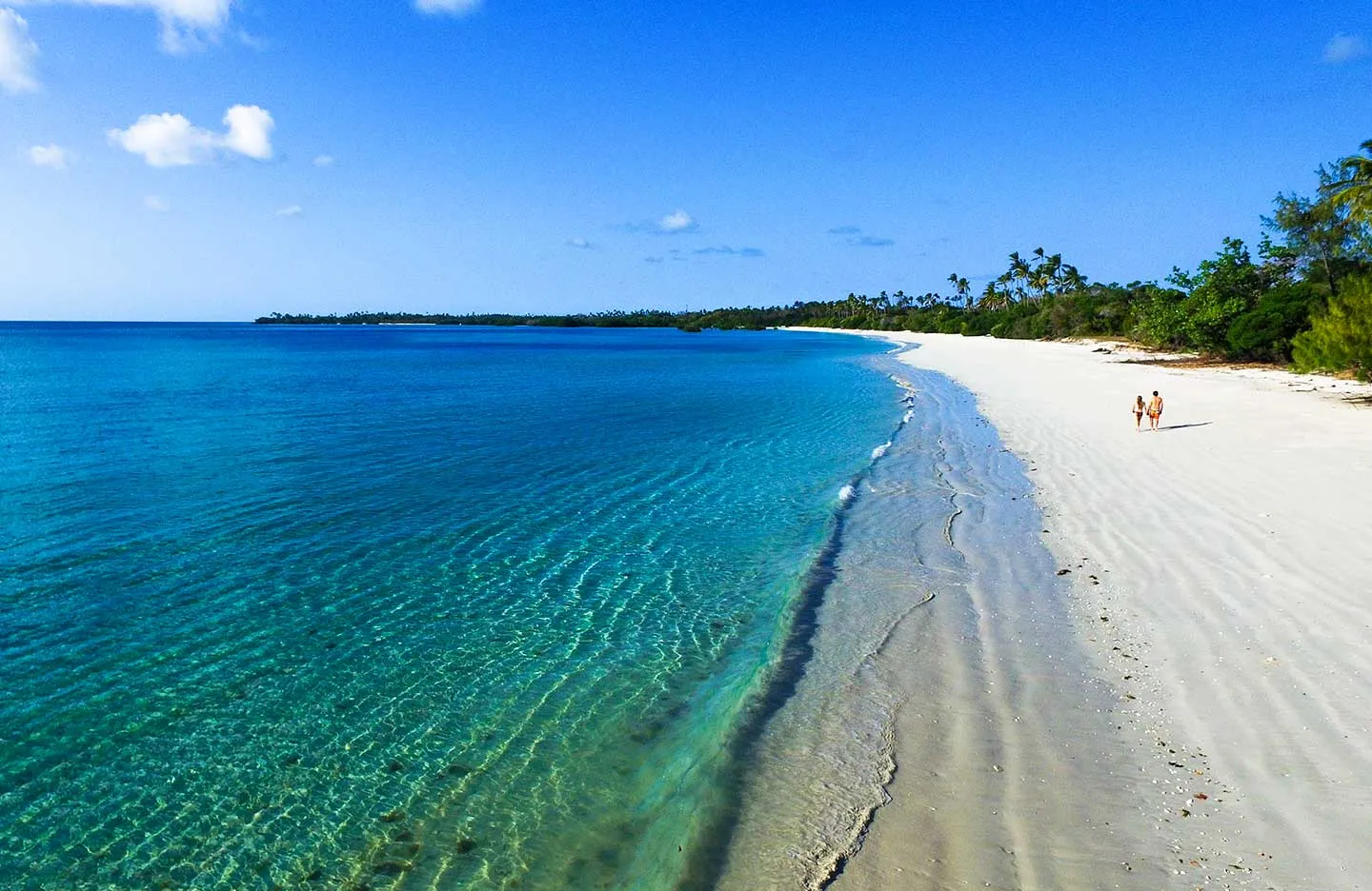 10-Day Tanzania Safari & Mafia Island Family Holiday | Serengeti, Ngorongoro & Beach Escape