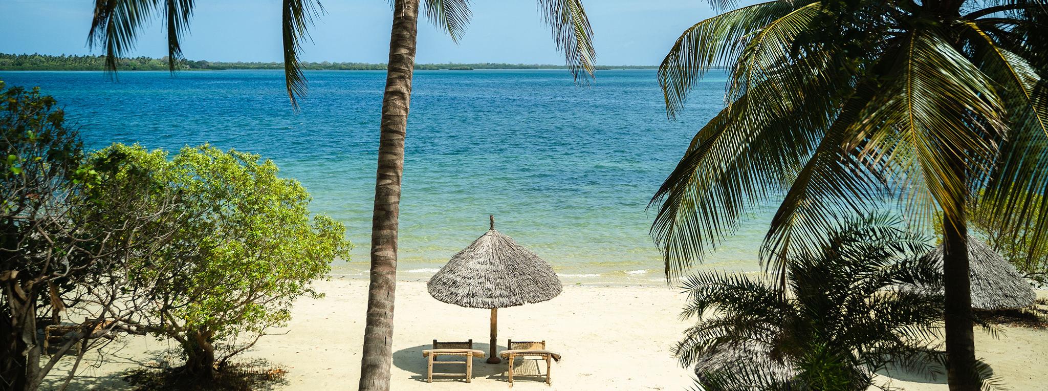 4-Day Mafia Island Relaxation & Marine Experience | A Serene Escape into Marine Wonders