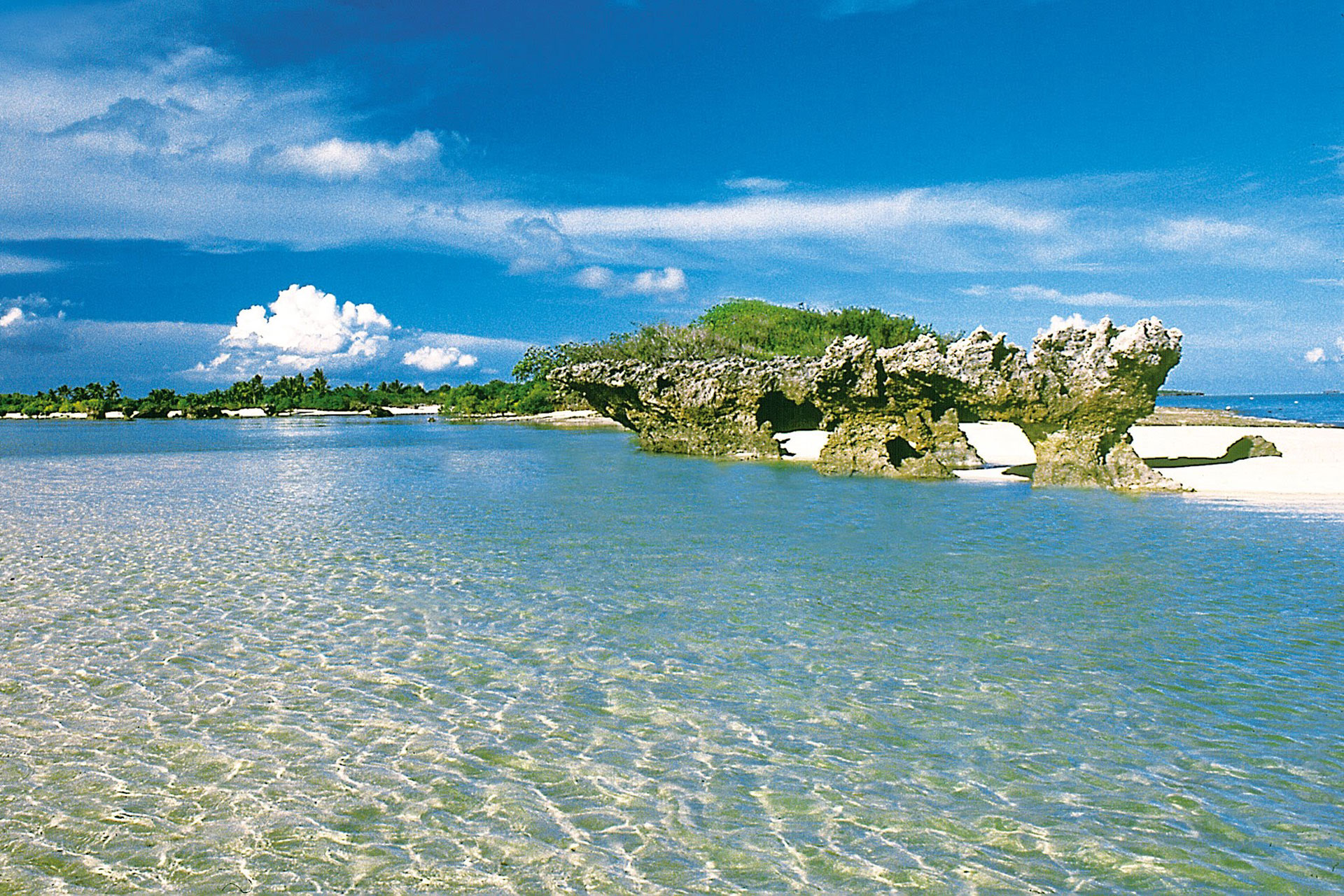 10-Day Tanzania Safari & Mafia Island Family Holiday | Serengeti, Ngorongoro & Beach Escape