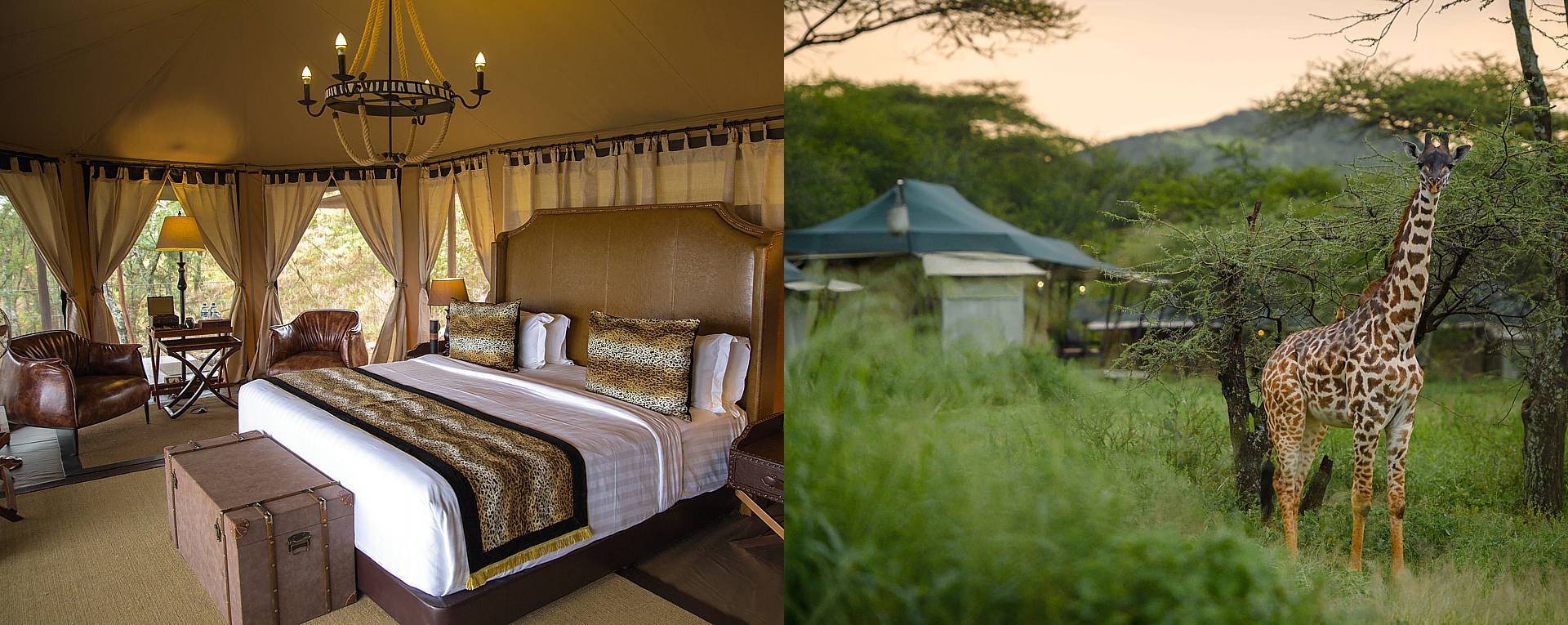 Oleserai Central Serengeti Camp | Authentic Luxury Safari Camp in Serengeti Tanzania