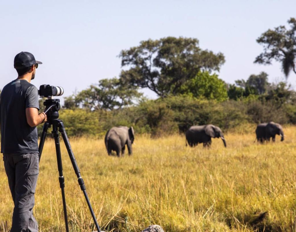 Wildlife Photography Safari