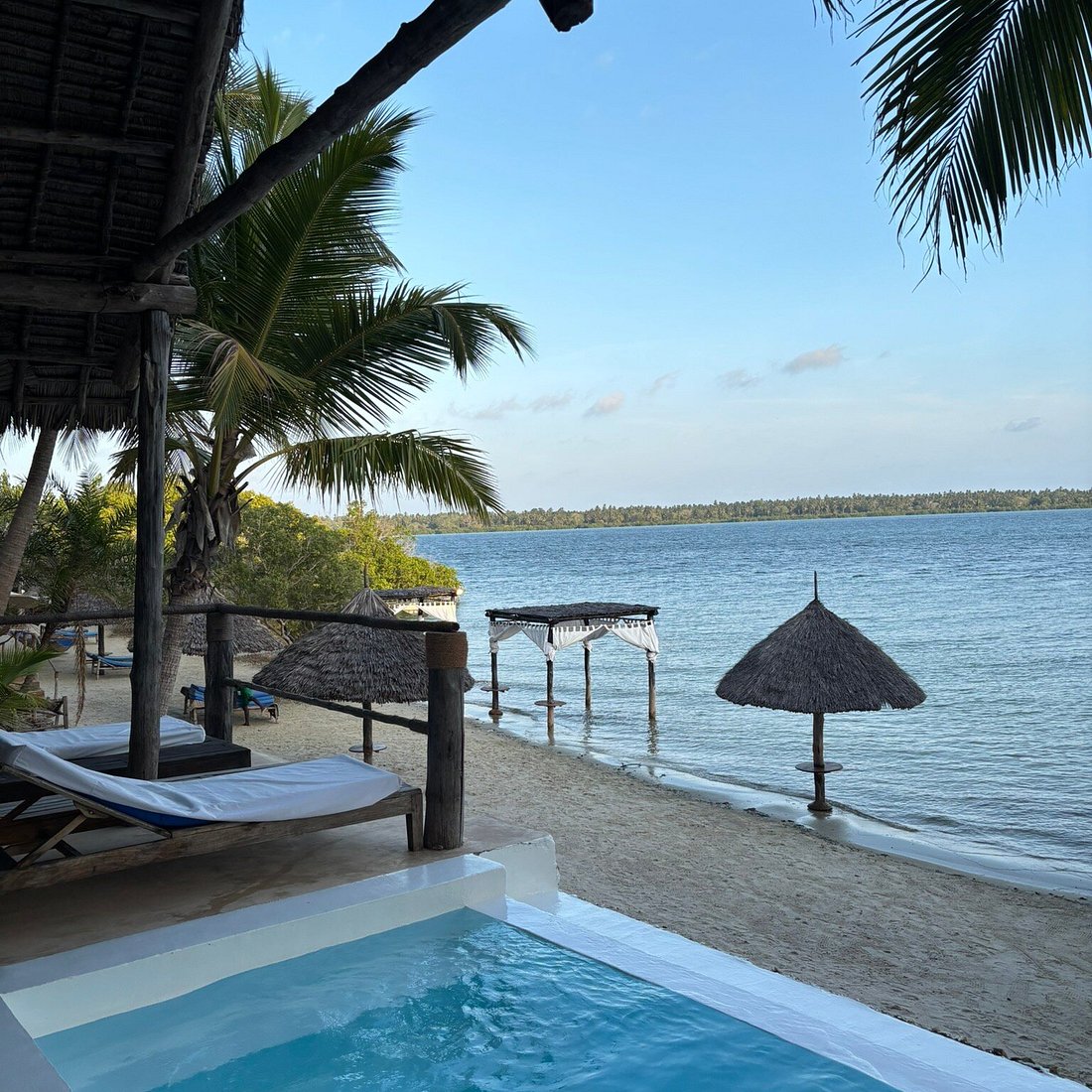 6- day The Ultimate Eco-Safari in Mafia Island | Giants, Mangroves & Marine Wonders