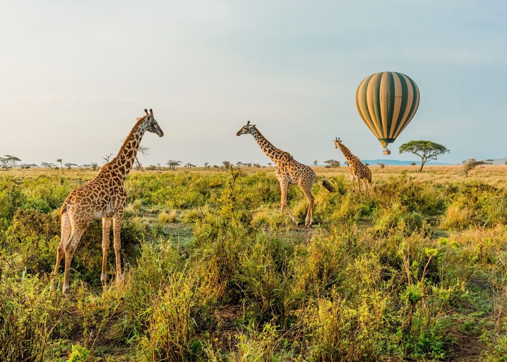 The Ultimate Guide to Tanzania Balloon Safaris Experience.v