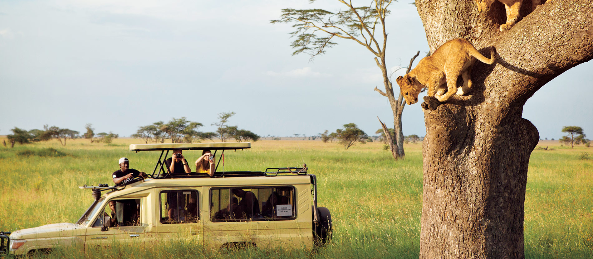 Private Safari Tanzania experience with luxury safari vehicle and expert guide