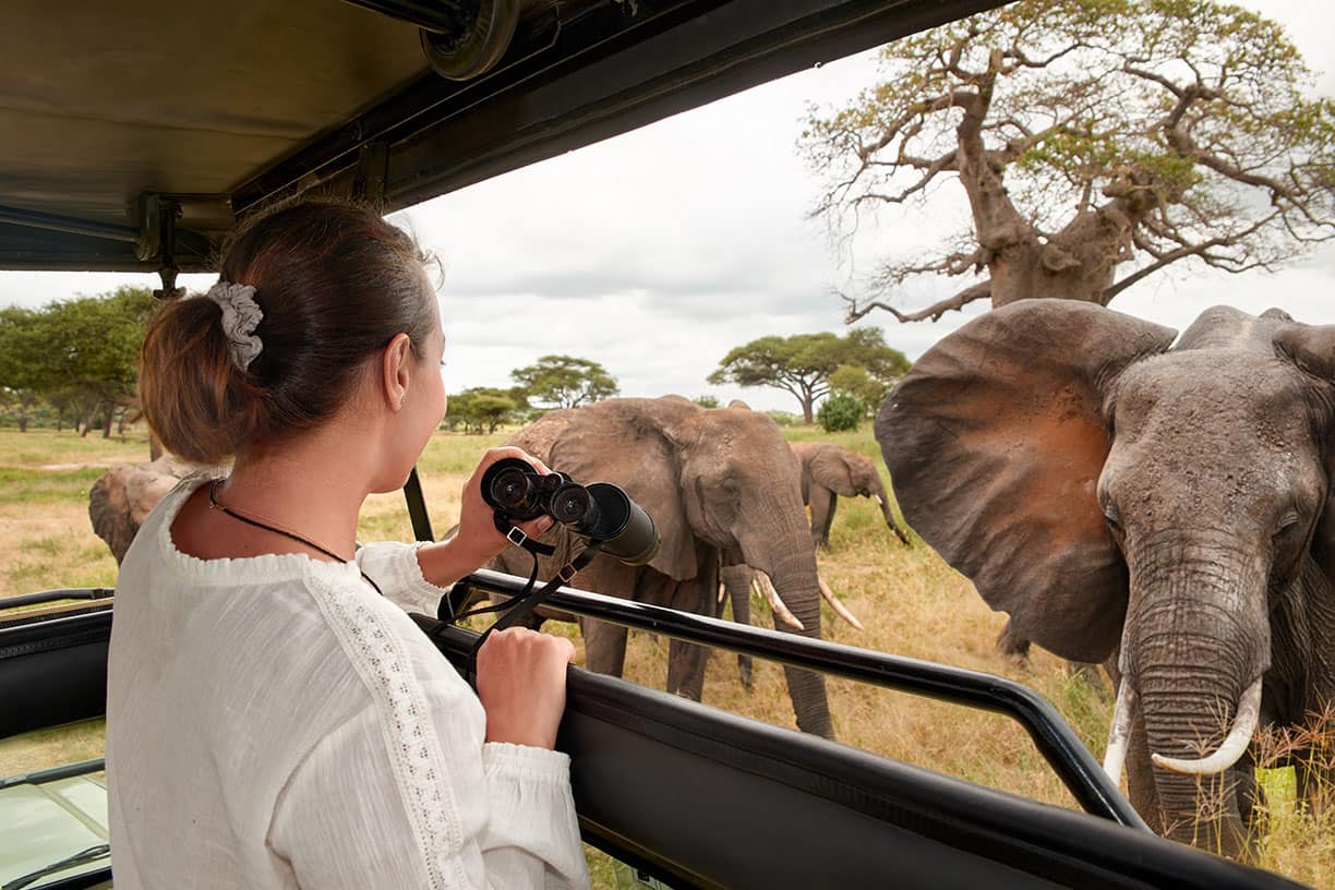 Tanzania Wildlife Safari Experience on the Savannah