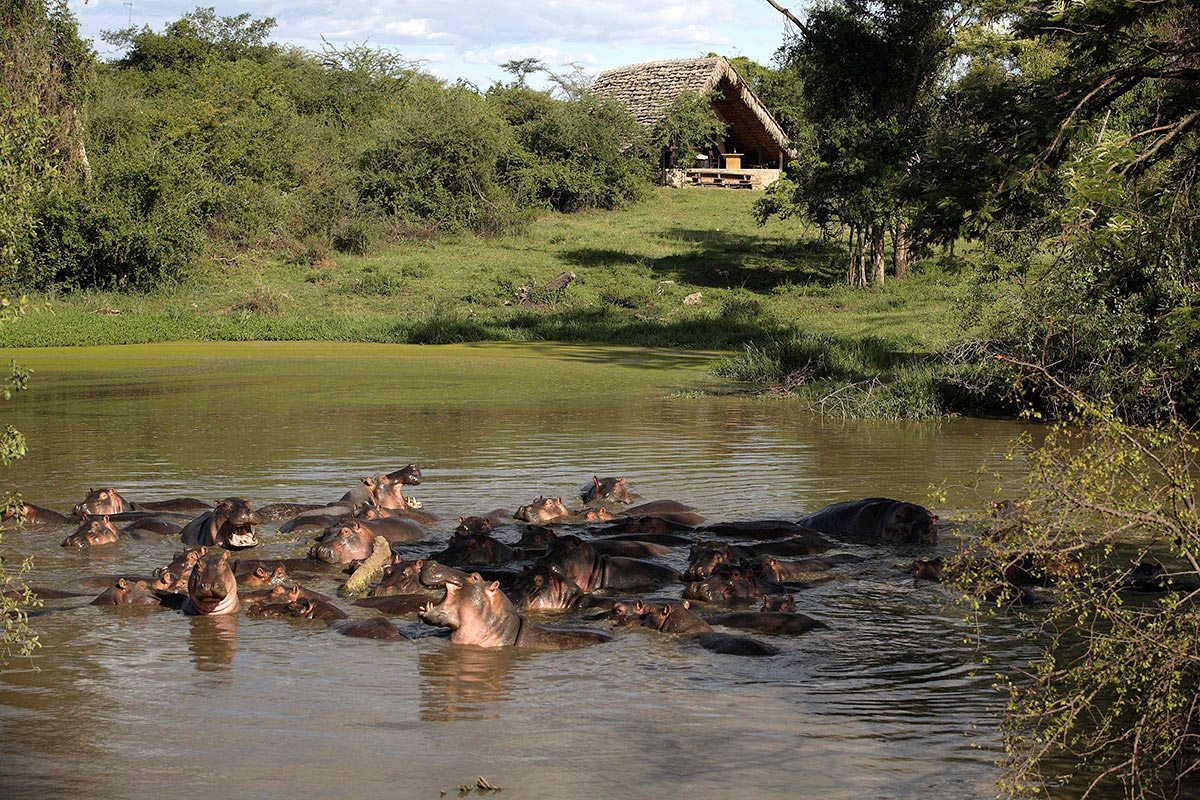 best place to stay in Serengeti safari accommodation guide showing Serengeti safari lodges and regions