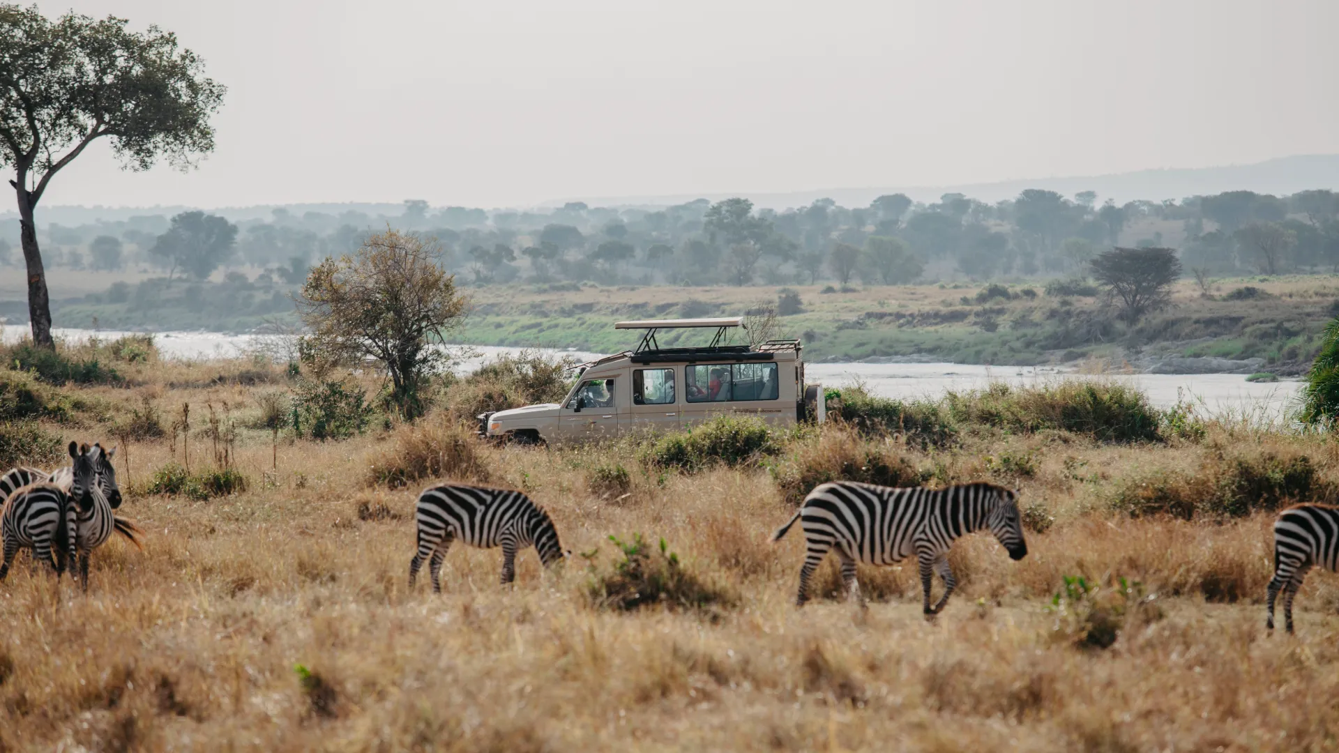 Plan the Perfect Tanzania Safari with Expert Guides