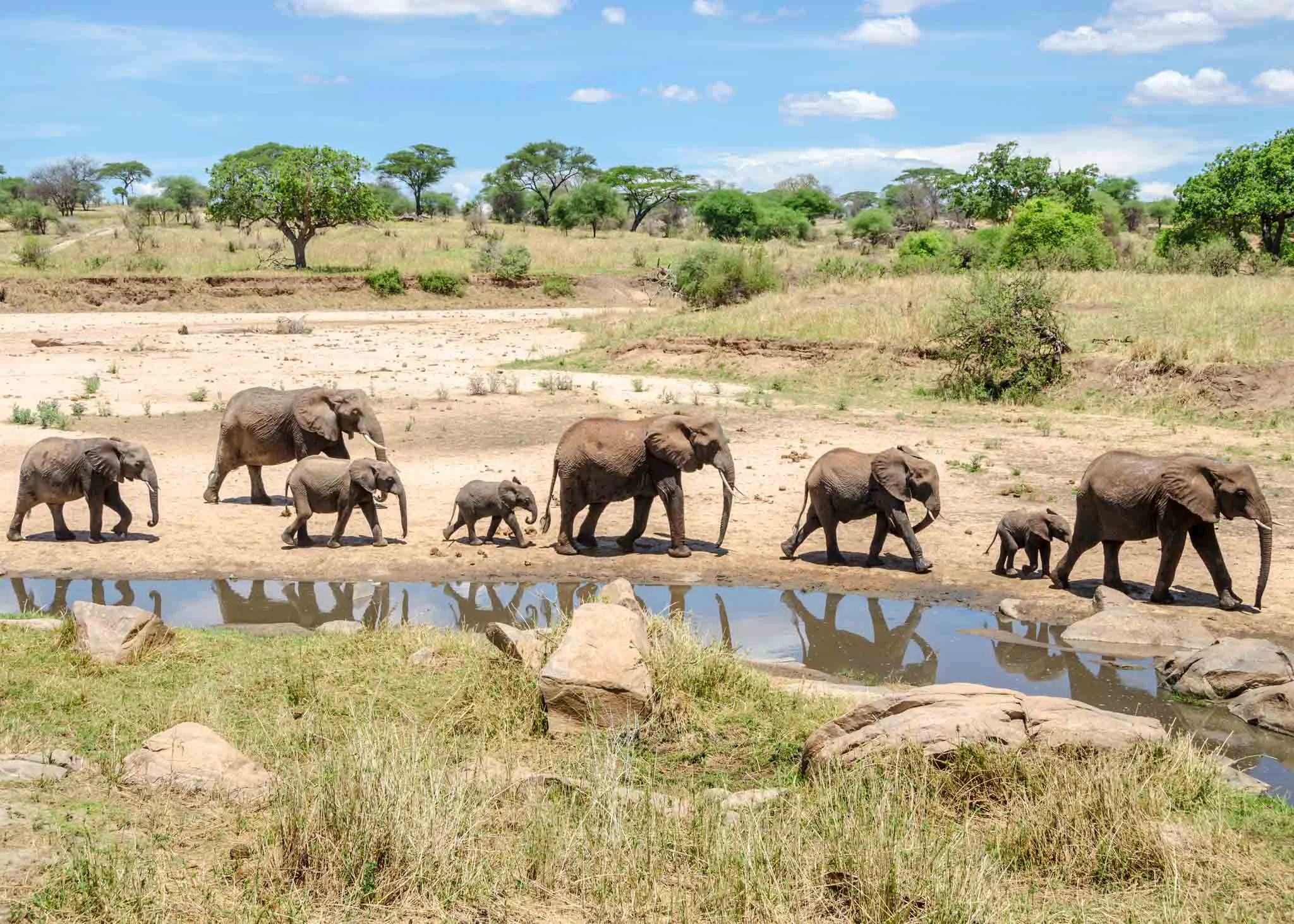 Planning the perfect Tanzania safari starts with choosing the right national parks.