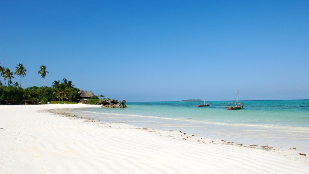 The Ultimate Guide When Is the Best Time to Visit Zanzibar?