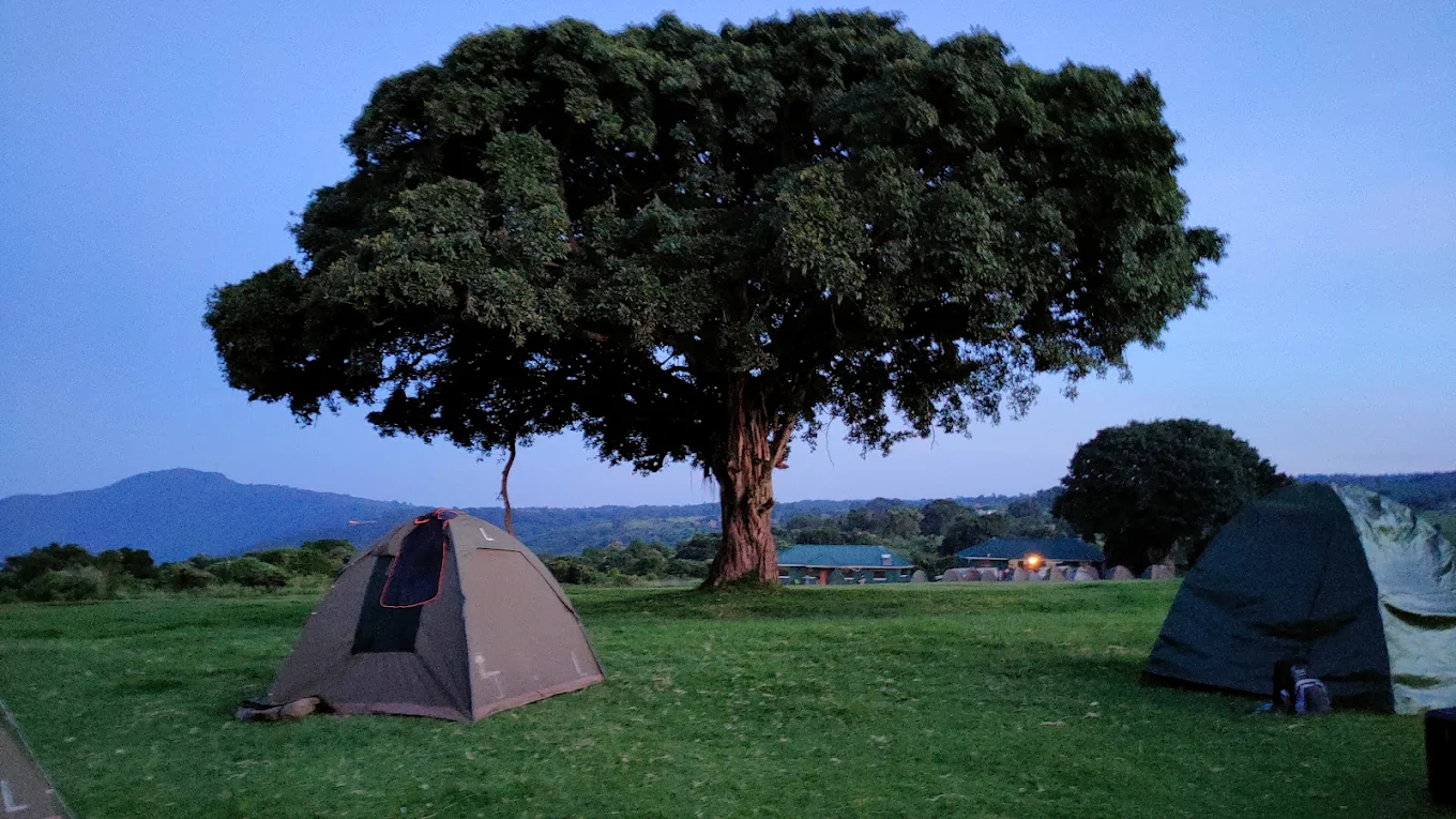 Tanzania safari cost 2026 budget camping safari in Serengeti