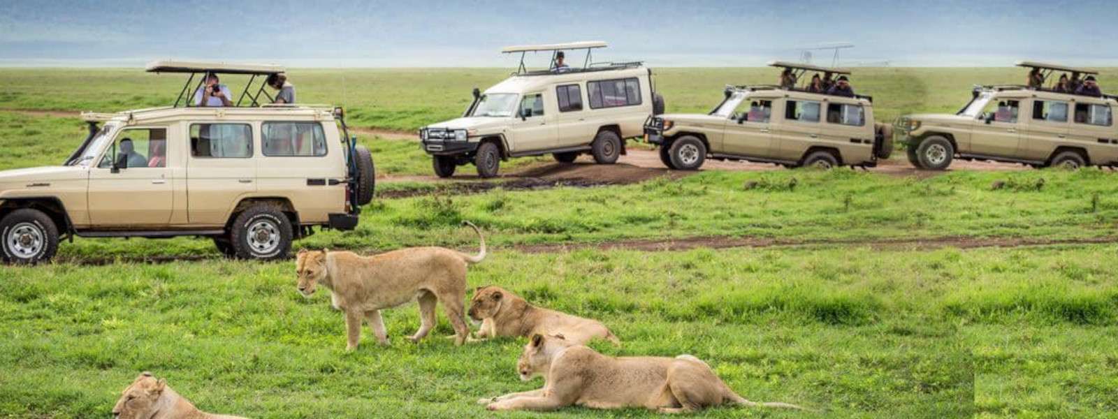 Is Tanzania Safe for Tourists? Your Complete Safety and Travel Guide