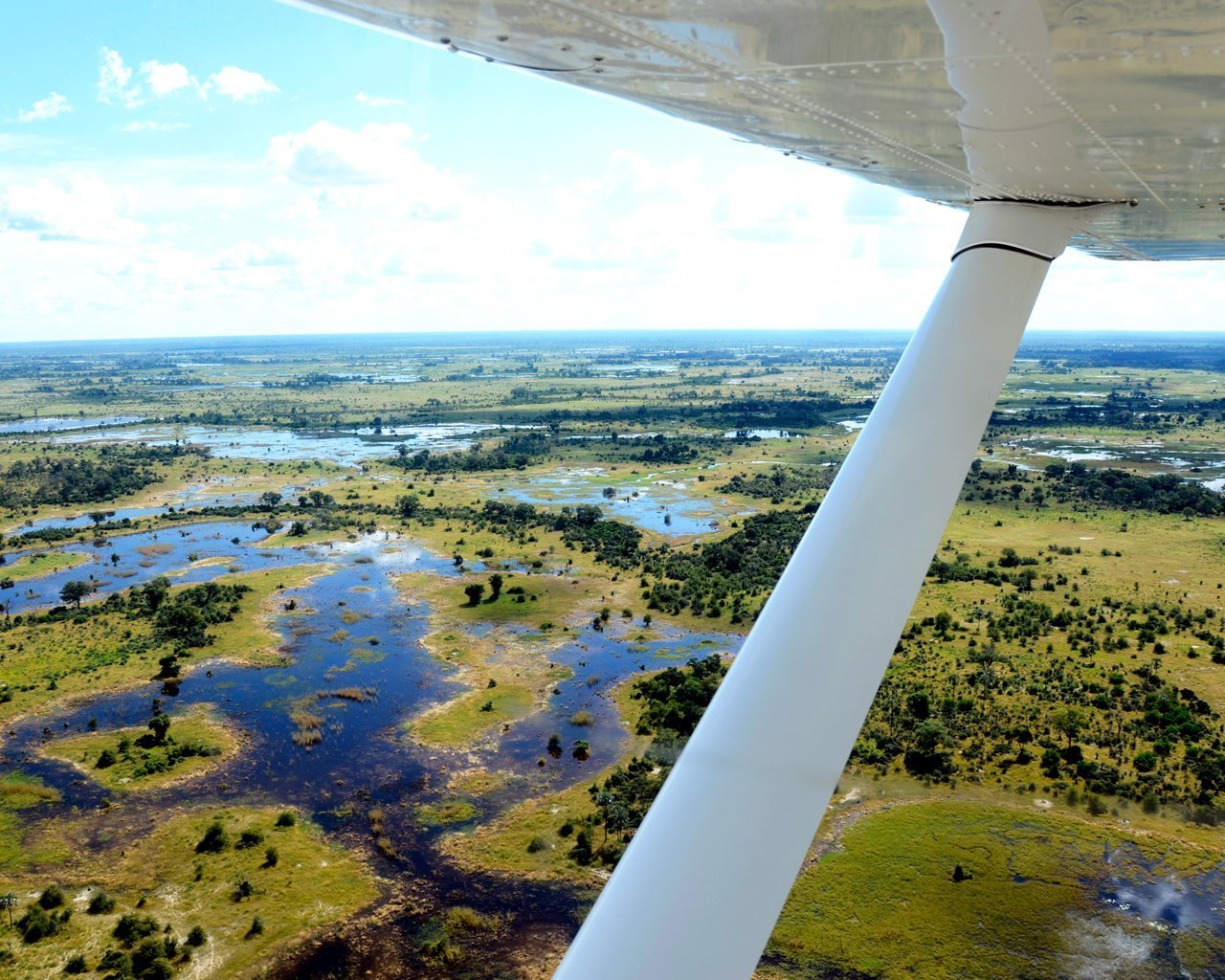 Planning a Tanzania Fly-In Safari Your Ultimate Guide.