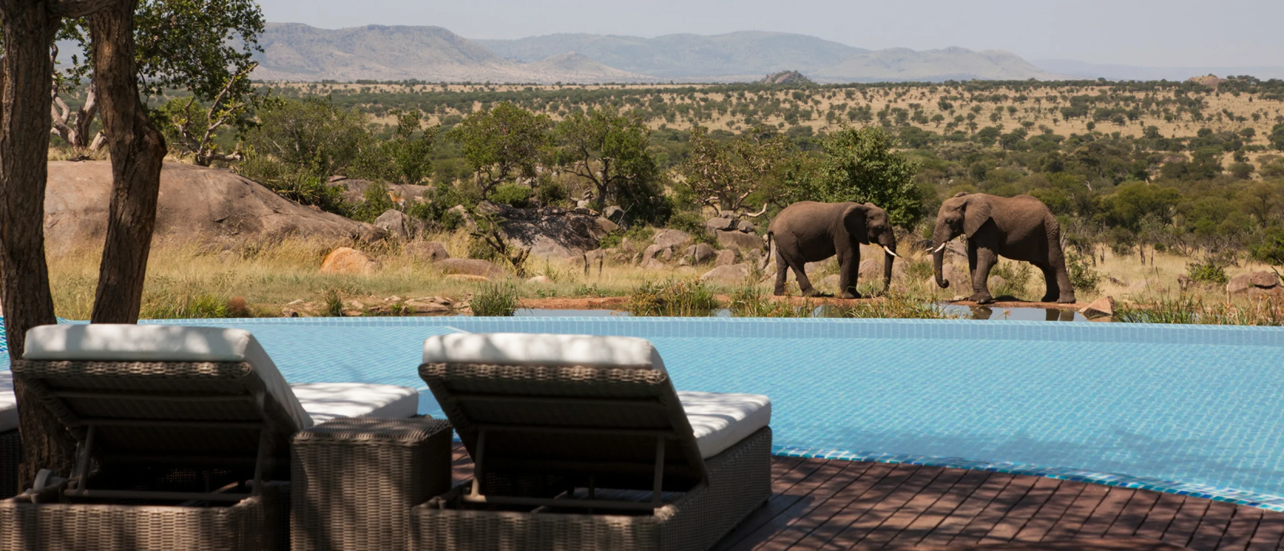 Tanzania luxury safari lodges in Serengeti National Park