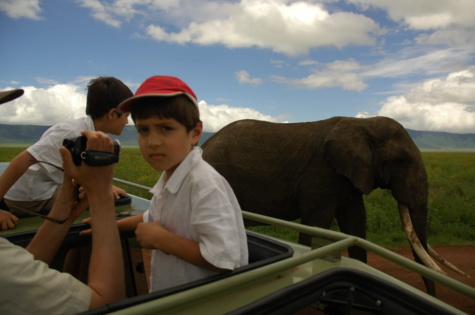 Going on Safari with Kids Your Complete Guide to Family Safaris in Tanzania