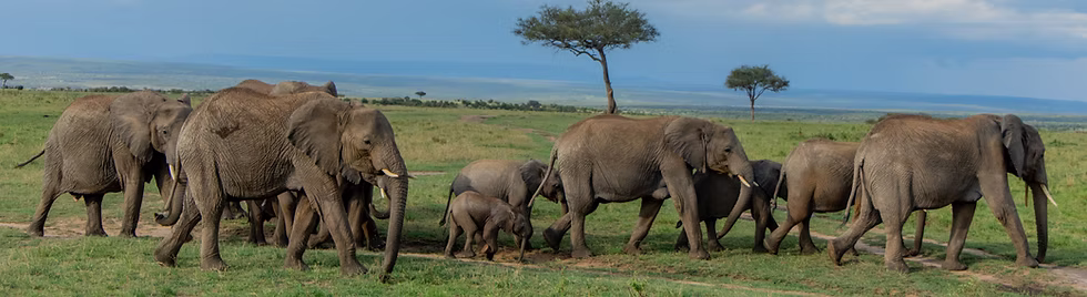 Tanzania travel health and malaria safety tips