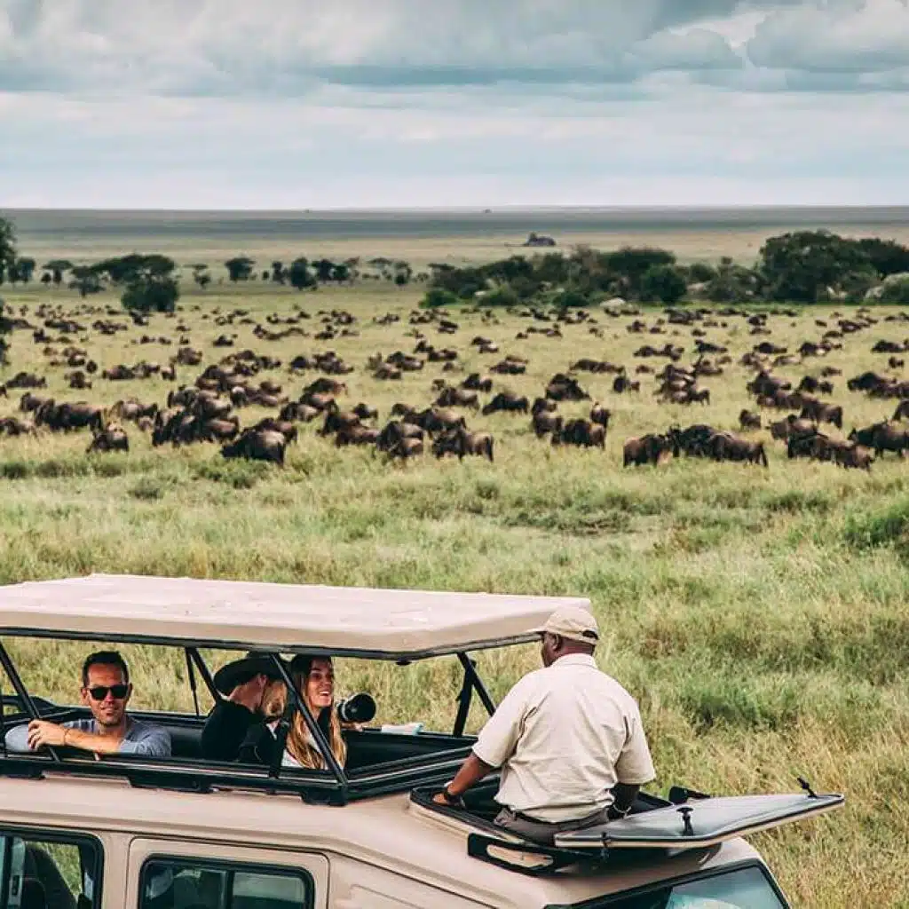 Common mistakes travelers make when booking a safari in Tanzania during safari planning