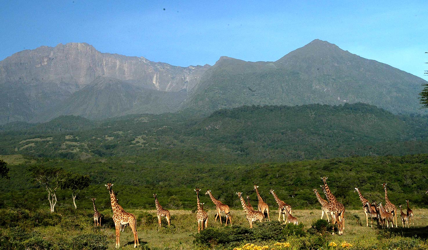 Mount Meru trek in Arusha National Park Tanzania hiking experience