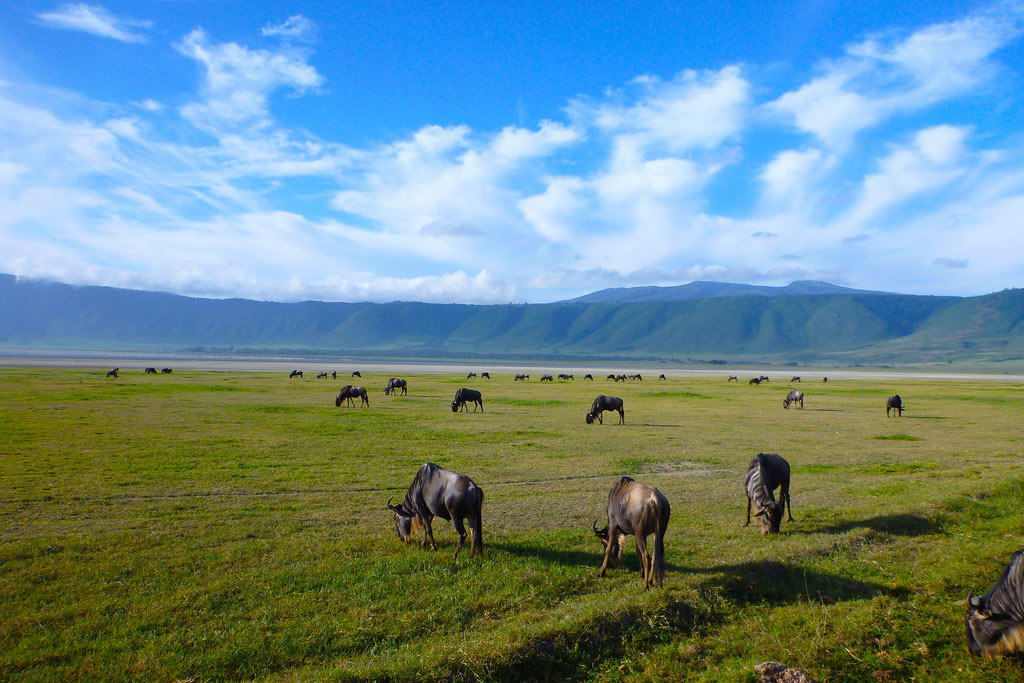 Best National Park to Visit from Zanzibar Ngorongoro Crater