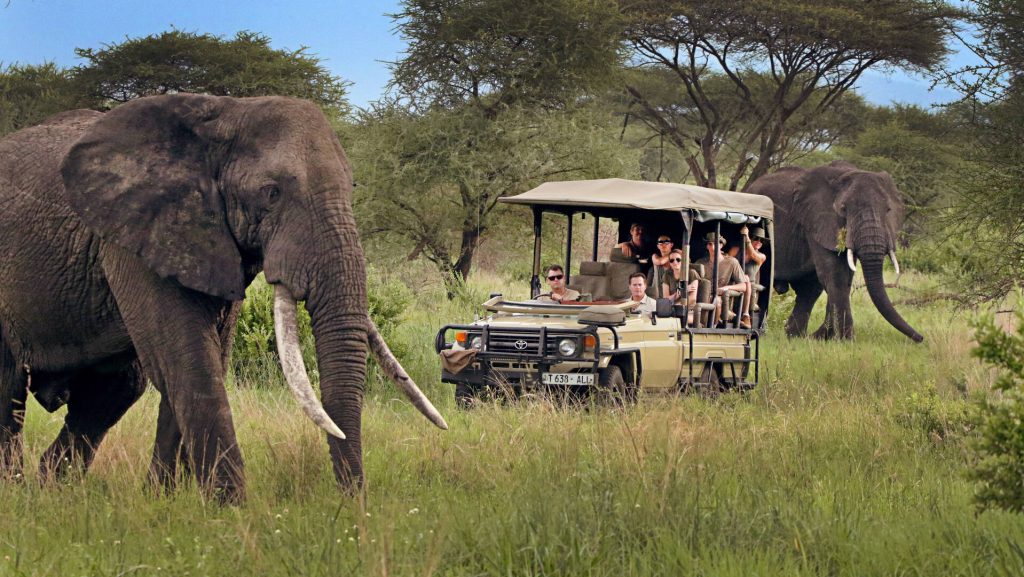 7 Days Tanzania Safari & Zanzibar Beach Holiday