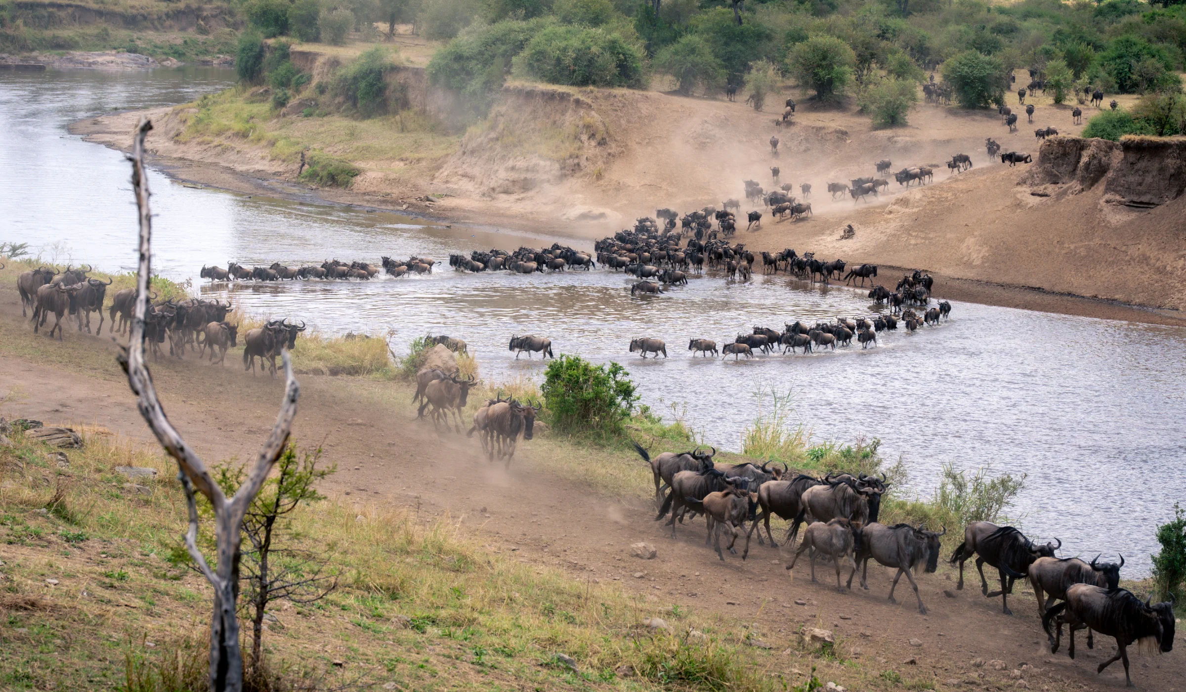 Best Place to Stay in Serengeti Safari Accommodation Guide