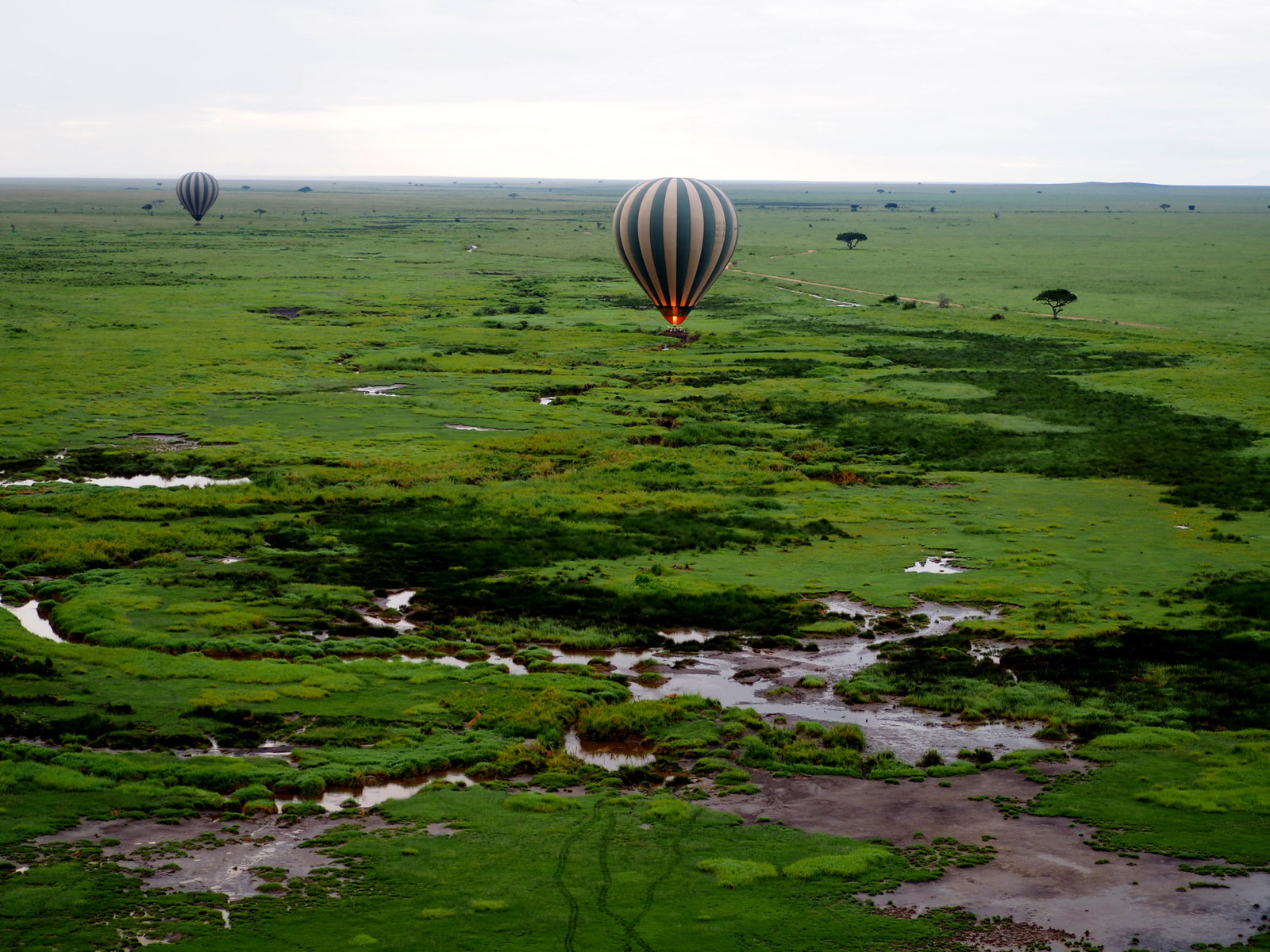 Tanzania Safari and Zanzibar itinerary featuring Serengeti National Park, Ngorongoro Crater, Tarangire National Park and Zanzibar beaches