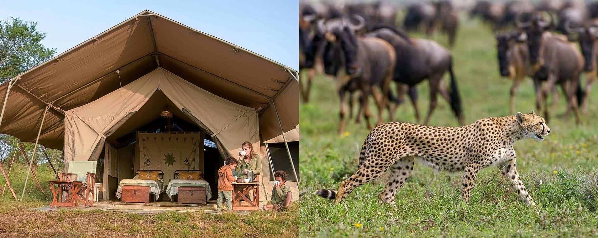 how many days should you spend in Serengeti showing safari itinerary wildlife viewing and travel duration guide