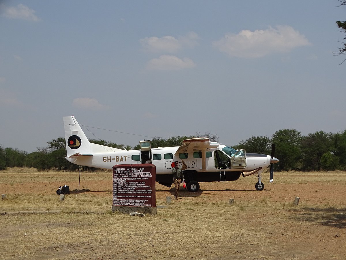 Planning a Tanzania Fly-In Safari Your Ultimate Guide.