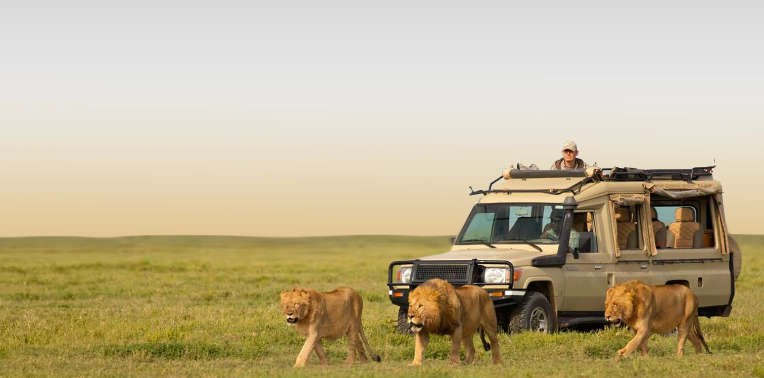 cost of Tanzania safari 2026 game drive in Serengeti National Park