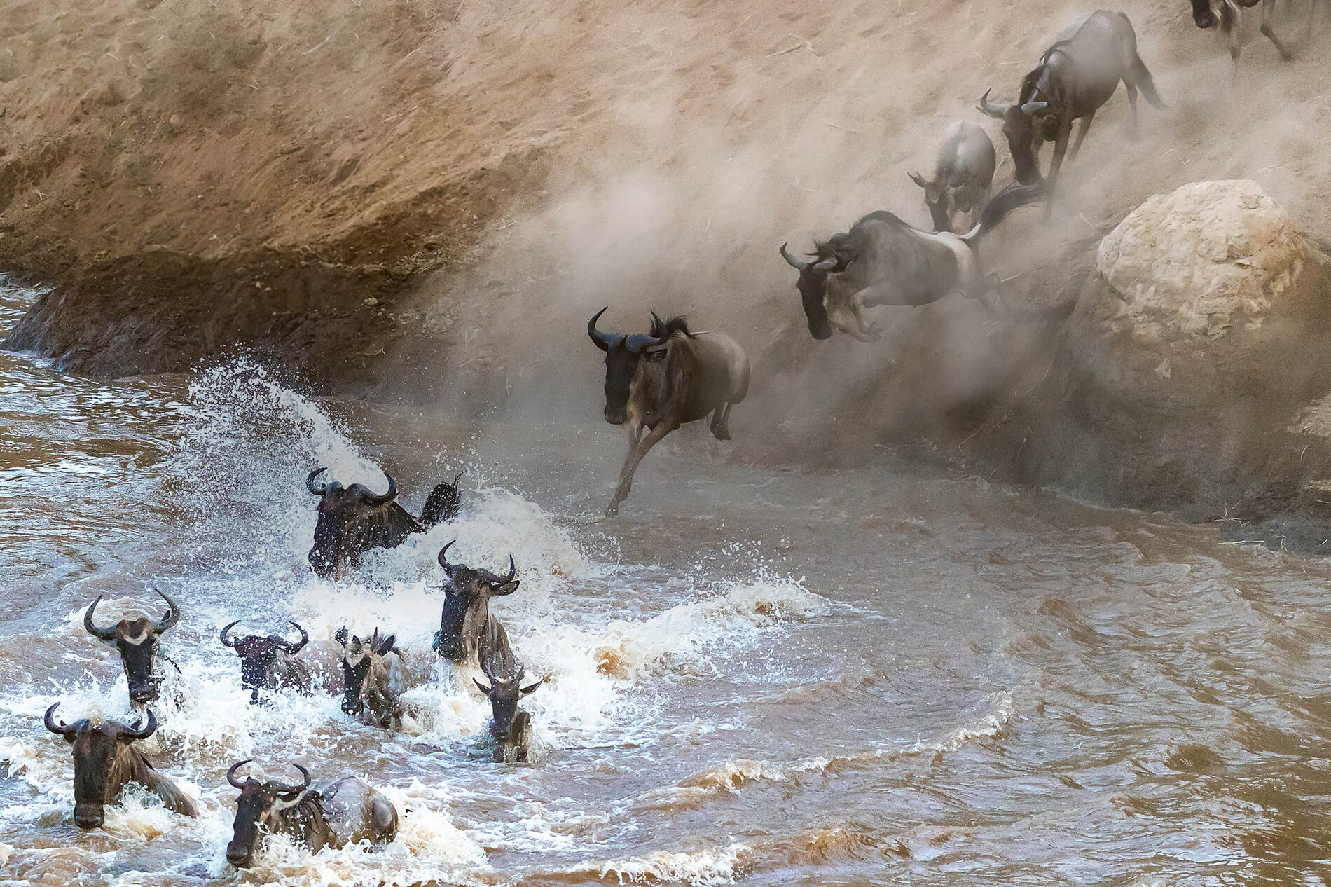 Serengeti vs Maasai Mara safari comparison showing wildlife, landscapes, Great Migration, and the best safari destination in East Africa.