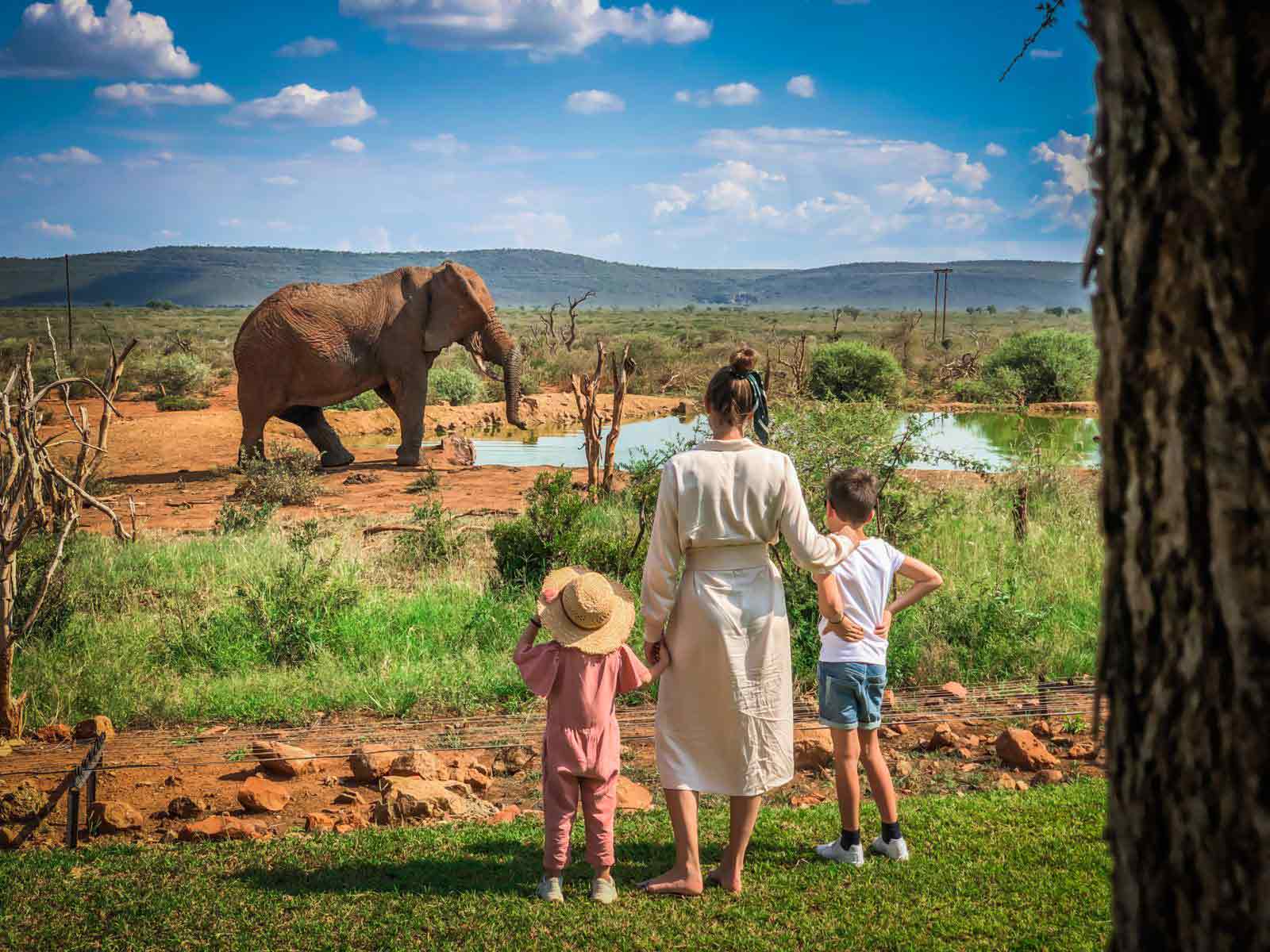 Family safari from Zanzibar enjoying a game drive in Tanzania with children watching elephants