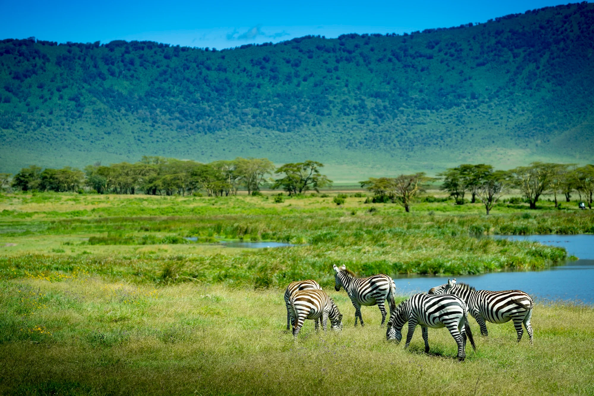 Luxury safaris in Tanzania with a luxury safari lodge overlooking Serengeti National Park